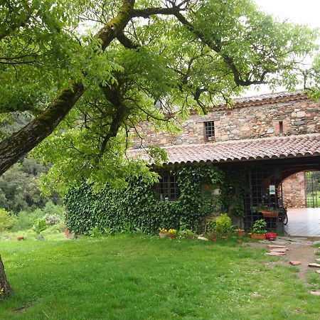 Bed And Breakfast Casanova De Sant Miquel Aiguafreda Bagian luar foto