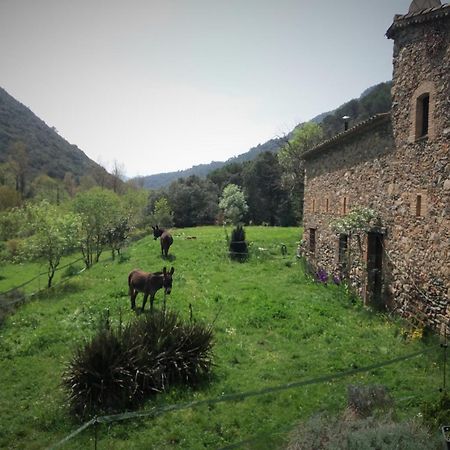 Bed And Breakfast Casanova De Sant Miquel Aiguafreda Bagian luar foto