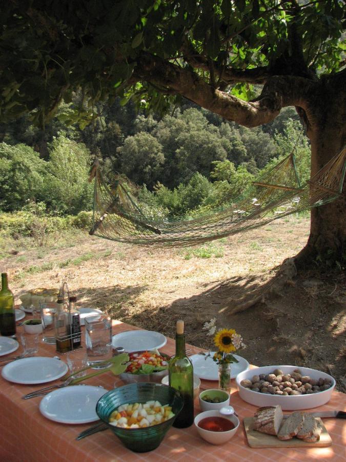Bed And Breakfast Casanova De Sant Miquel Aiguafreda Bagian luar foto