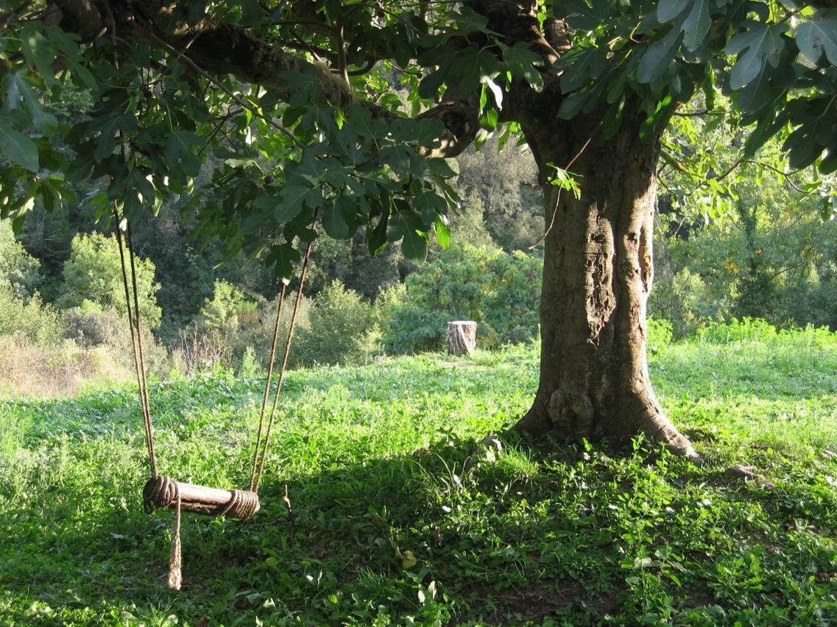 Bed And Breakfast Casanova De Sant Miquel Aiguafreda Bagian luar foto