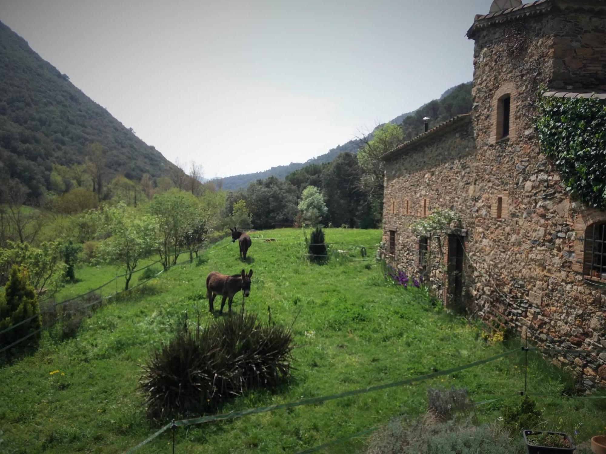 Bed And Breakfast Casanova De Sant Miquel Aiguafreda Bagian luar foto
